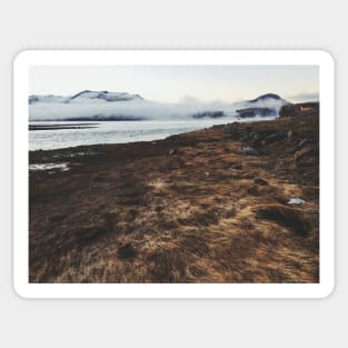 Long Brown Grass by Atlantic Ocean Inlet on Cold Sunny Winter Day Sticker
